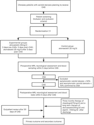 Effects of High Dose of Atorvastatin for Preventing Periprocedural Ischemic Brain Damage in Patients Undergoing Carotid Artery Stenting (PICAS) in China: A Randomized Controlled Clinical Trial